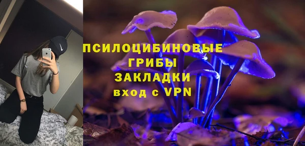 прущие грибы Приозерск